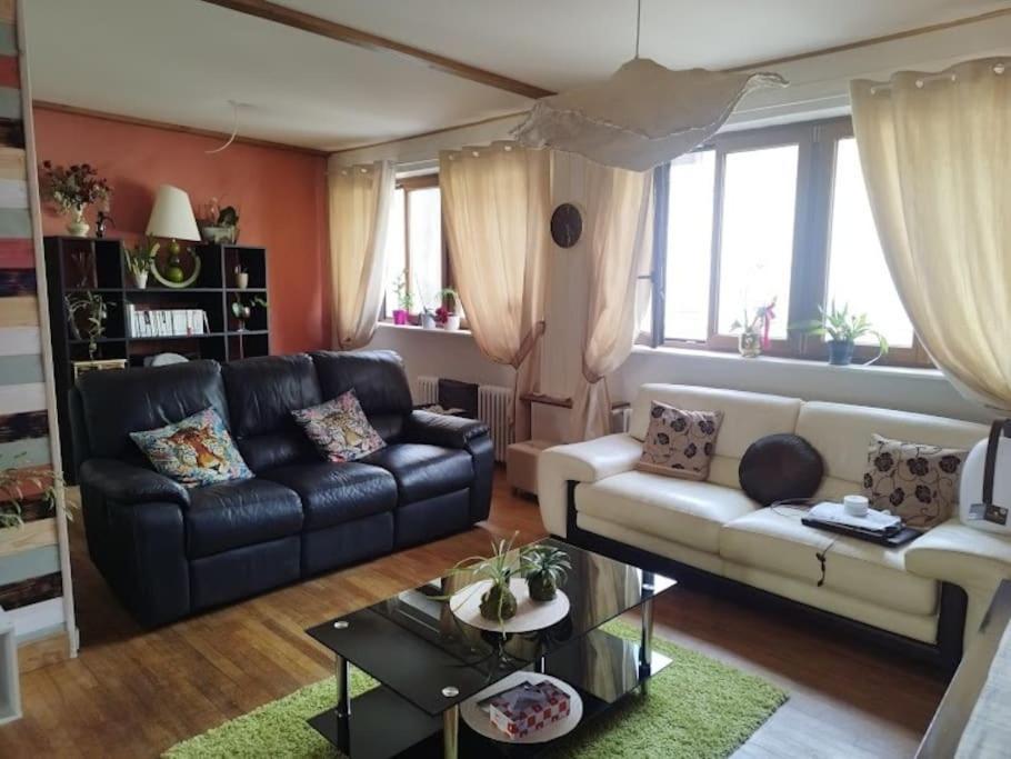Le Passage Du Faubourg, Agreable T3 En Duplex De 120M2 Apartment Saint-Léonard-de-Noblat Екстериор снимка